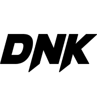شرکت سبدگردان سرمایه خیز